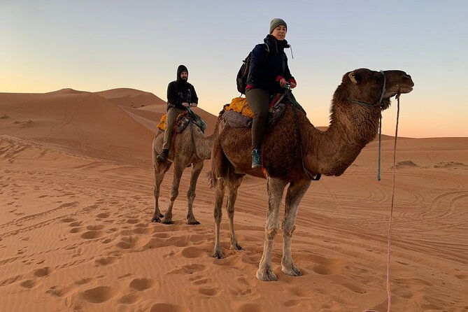 Luxury 2-Days Desert Trip from Fes to.:( fes or marakech) - Reaching Merzouga and riding into Erg Chebbi
