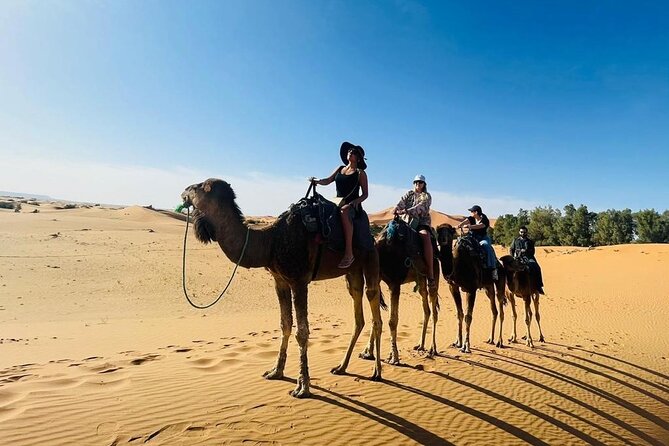 luxury 3 Days 2 Nights Desert Tour from Fez to Marrakesh - The Sahara camp: memorable setting, mixed comfort claims