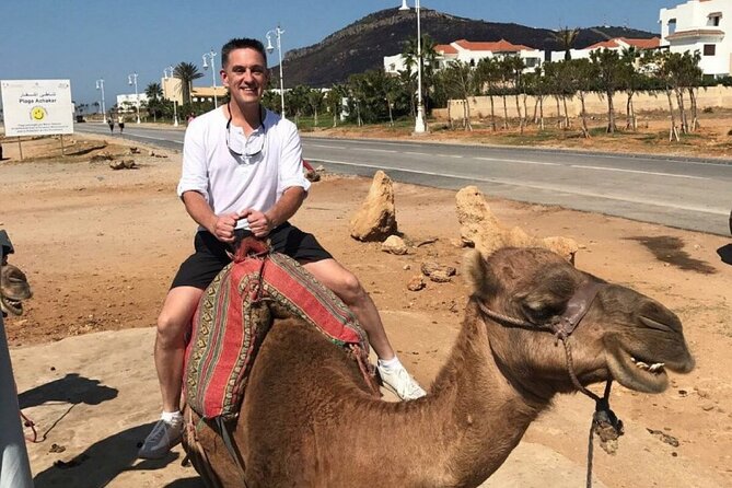luxury 4 Hour Private Tour of Tangier - Mohammed V Mosque and Marshan Palace