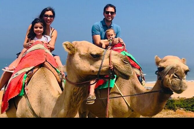 luxury 4 Hour Private Tour of Tangier - The hilltop Kasbah and Dar el Makhzen