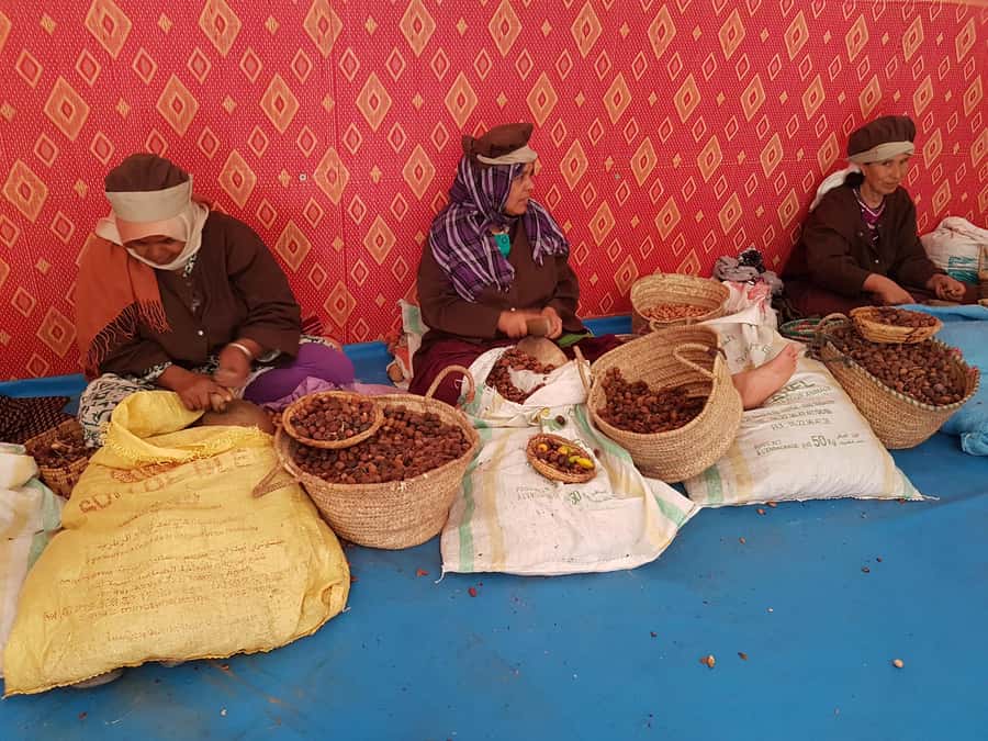 Luxury day trip to Essaouira from Marrakech - Key points to know before booking