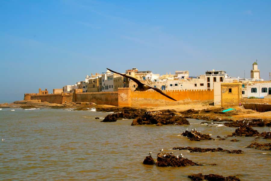 Luxury day trip to Essaouira from Marrakech - What the $34 price really buys you