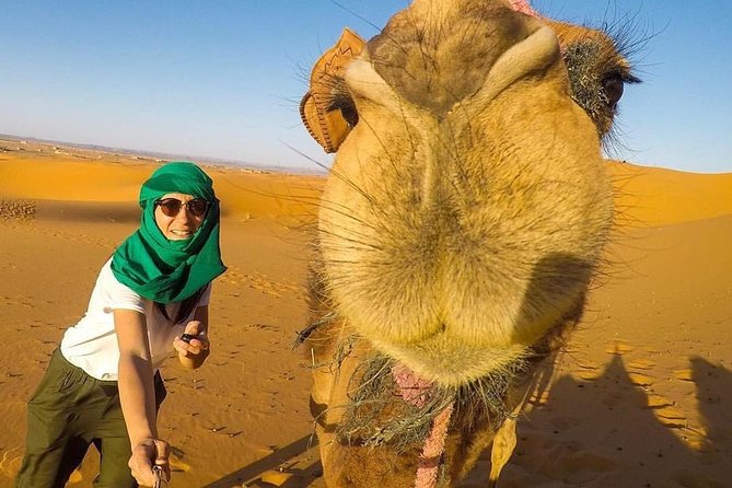 LUXURY Desert Camp: 3 Days Marrakech to Merzouga and Camel Trek - Why this Marrakech to Merzouga trip works