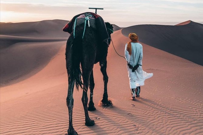 LUXURY Desert Camp: 3 Days Marrakech to Merzouga and Camel Trek - What the vehicle time is really like