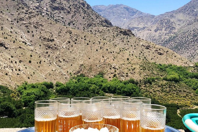 Luxury private day trip - Atlas Mountains, Agafay Desert & camels - The Tuesday and Saturday market option