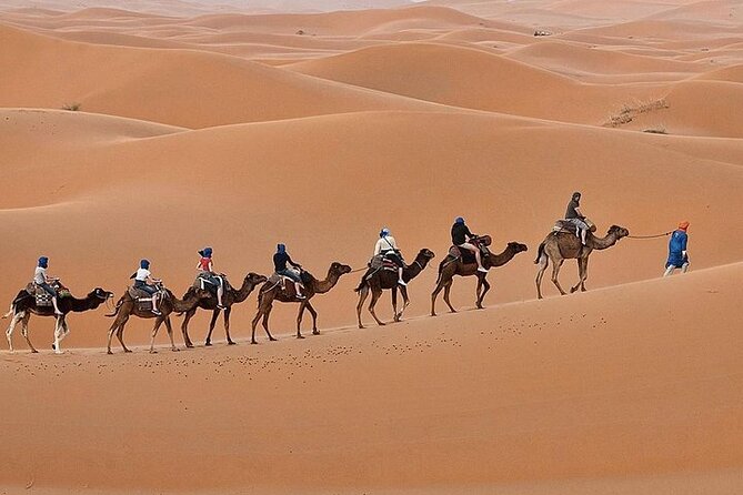 Luxury Sahara Desert From Fez back to fez or marrakech overnight - Guides, communication, and service