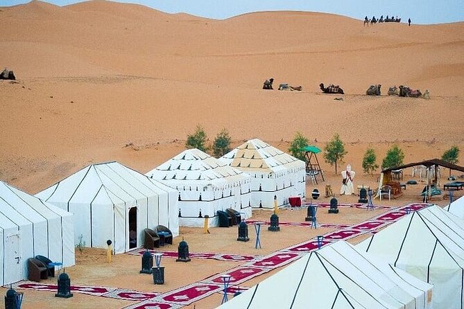 Luxury Sahara Desert From Fez back to fez or marrakech overnight - Meeting the monkeys in Azrou’s cedar forest