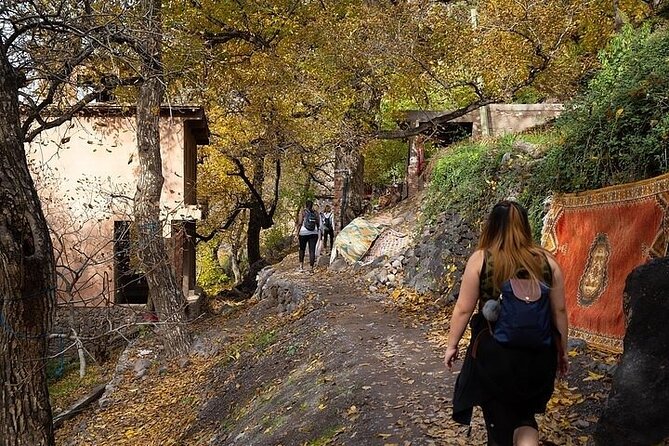 Magical Atlas Day Trip: Camel Ride, imlil Valley & Berber Lunch - Lunch in a guide’s family home