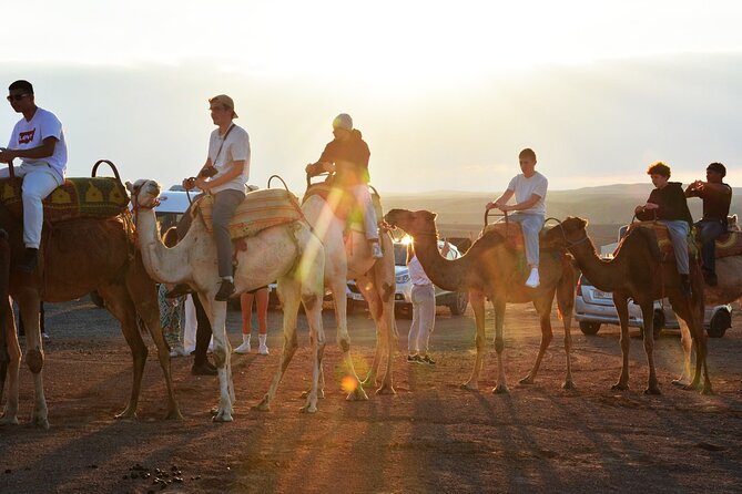 Magical Dinner Experience & Sunset Camel Ride in Marrakech Desert - Berber music and the evening show