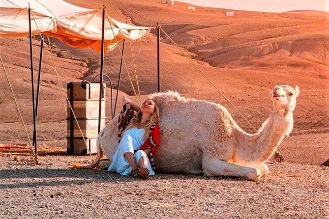 Magical Dinner show and Quad bike In Agafay Desert Marrakech - Quad biking across Agafay’s stony desert