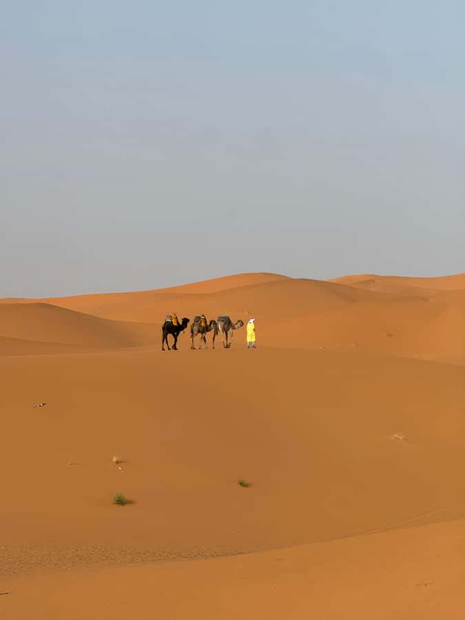 Majestic Desert: 3-Day Luxury Journey from Marrakech to Fes - Should you book it?