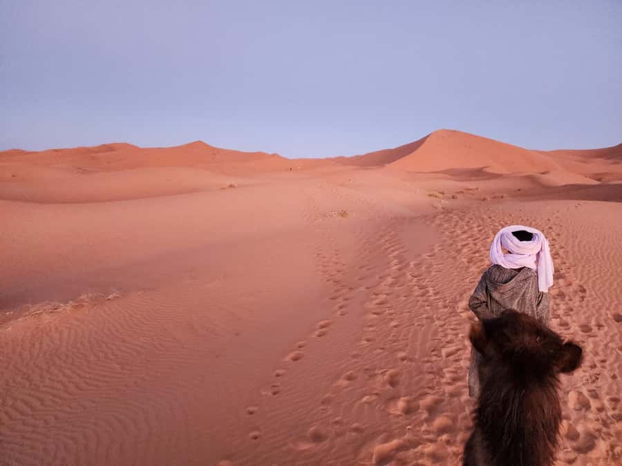 Majestic Desert: 3-Day Luxury Journey from Marrakech to Fes - Day 2: Todra Gorge and the road to Merzouga