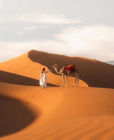 Majestic Desert: 3-Day Luxury Journey from Marrakech to Fes