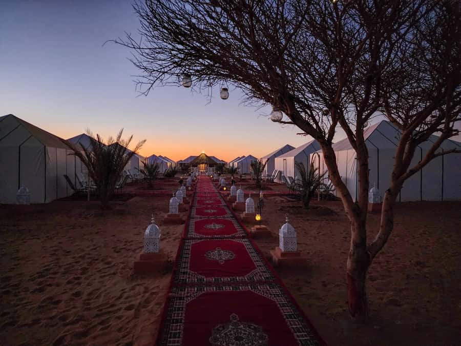 Majestic Desert: 3-Day Luxury Journey from Marrakech to Fes - Who should book this three-day journey?