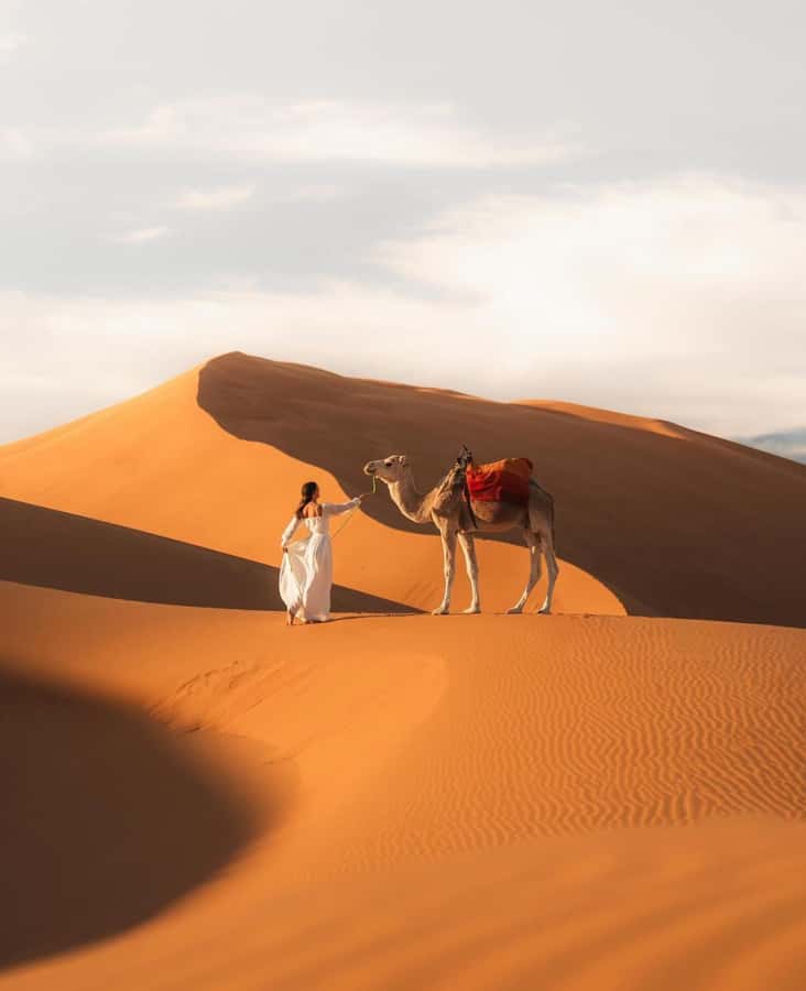 Majestic Desert: 3-Day Luxury Journey from Marrakech to Fes - Day 1: High Atlas roads and Ait Ben Haddou