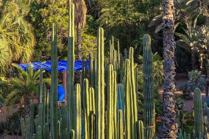 Majorelle Garden, St Laurent and Berber Museum Round Trip Ticket - Inside the Pierre Bergé Museum of Berber Arts
