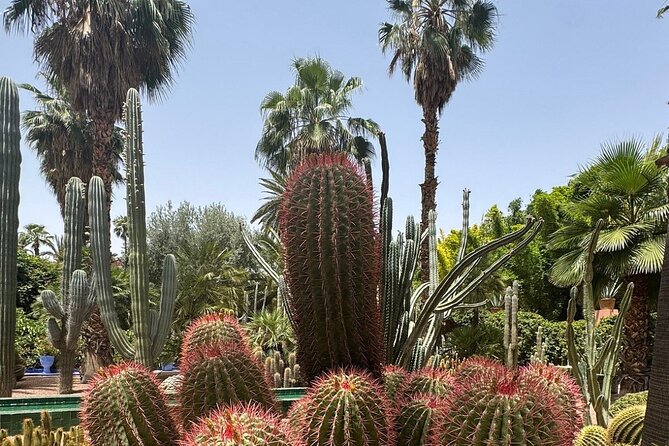 Majorelle Garden, St Laurent and Berber Museum Round Trip Ticket - The Musée Yves Saint Laurent Marrakech