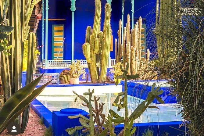 Majorelle Garden, St Laurent and Berber Museum Round Trip Ticket - Is $63.88 good value?