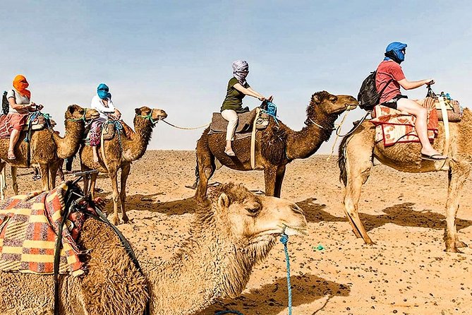 Marrakech: 1 Day Tour-Best of the Atlas Mountains &Three Valleys - Waterfalls, village paths, and what you really see