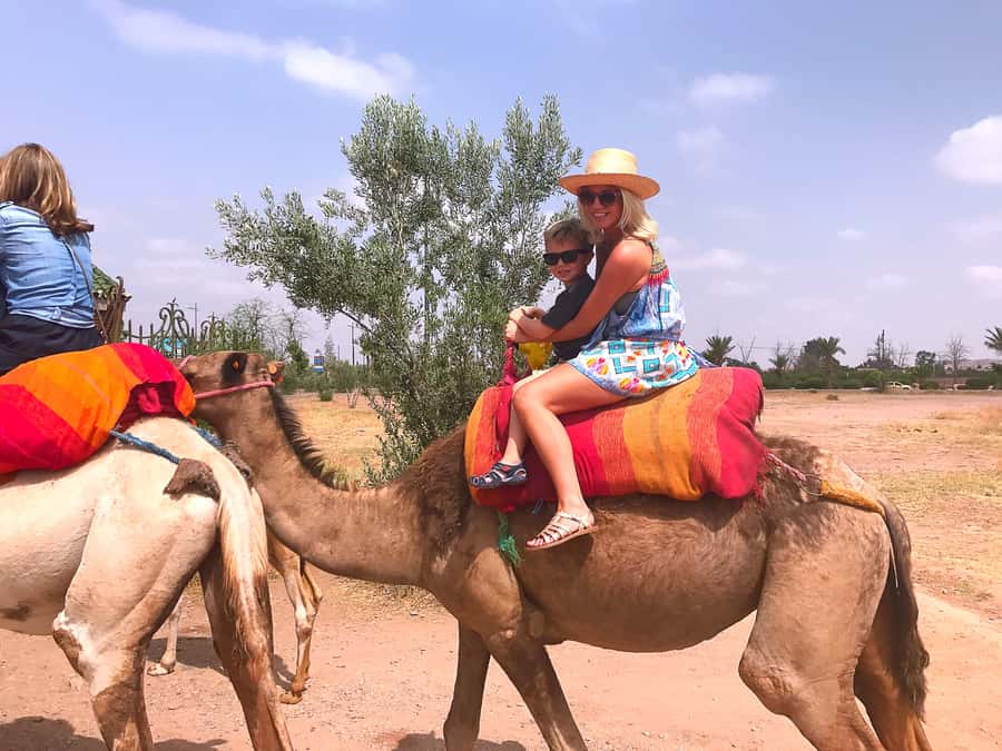 Marrakech : 1-Hour Camel Ride Through the Palm Grove - Getting ready for the camel ride