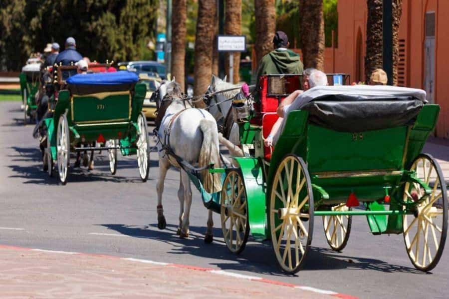 Marrakech: 1-Hour Traditional Horse-Drawn Carriage Tour - The carriage ride at a glance