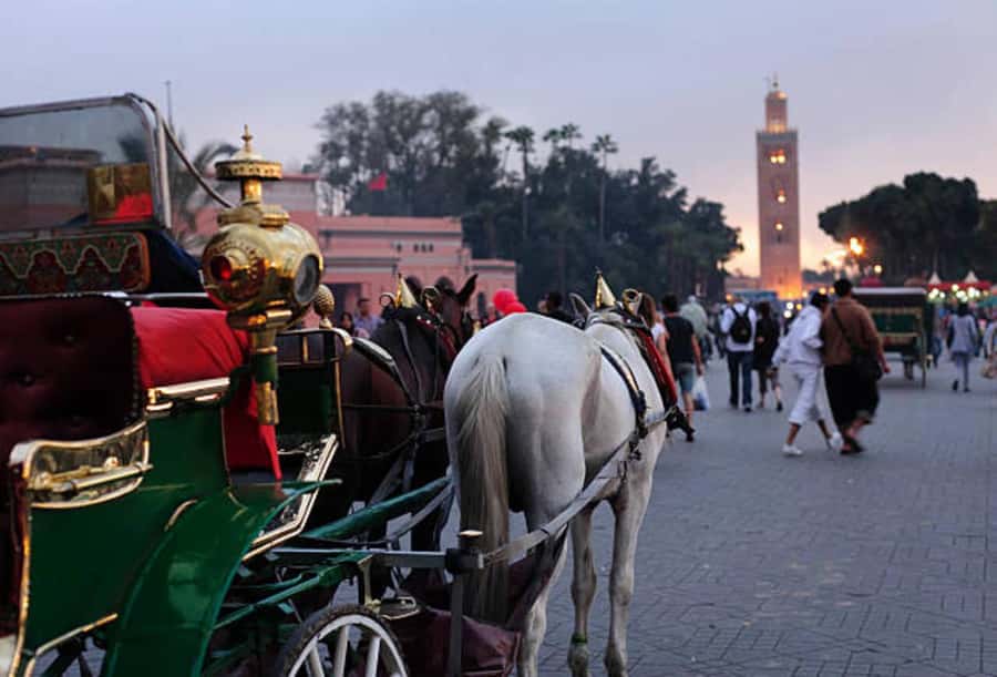 Marrakech: 1-Hour Traditional Horse-Drawn Carriage Tour - Why a horse carriage works well in Marrakech