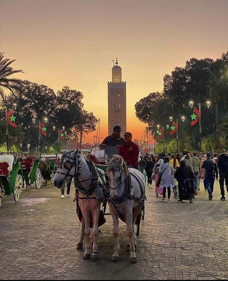 Marrakech: 1-Hour Traditional Horse-Drawn Carriage Tour - What the one-hour timing really means