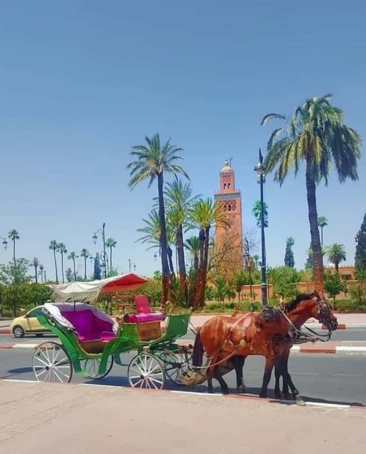 Marrakech: 1-Hour Traditional Horse-Drawn Carriage Tour - Pickup is the part that needs the most care