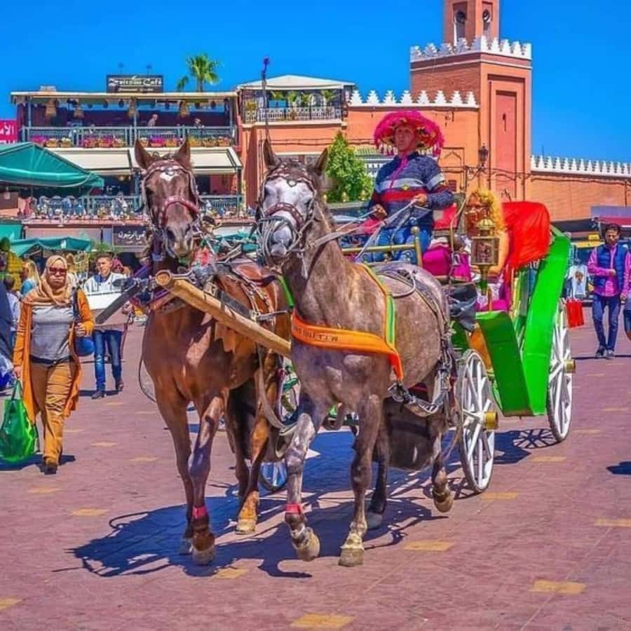 Marrakech: 1-Hour Traditional Horse-Drawn Carriage Tour - The guides and carriage numbers worth requesting
