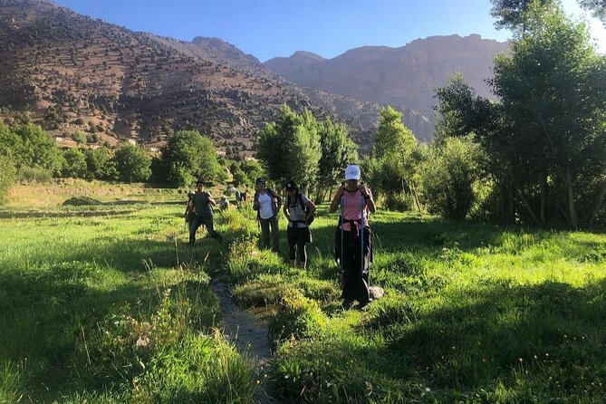 Marrakech: 2-Day Atlas Mountains Trek with Village Stay - Key points to know before booking