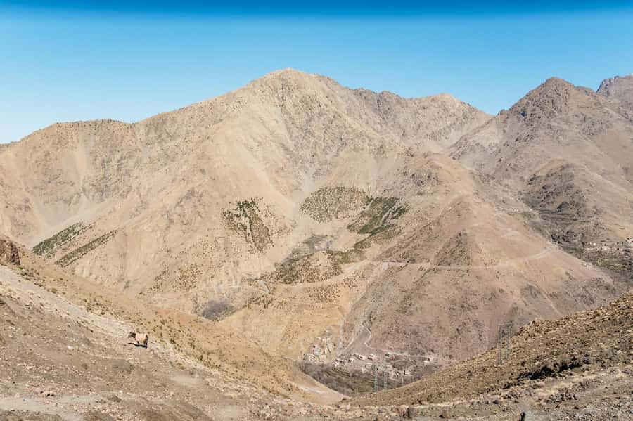 Marrakech: 2-Day Atlas Mountains Trek with Village Stay - Who will enjoy this most?