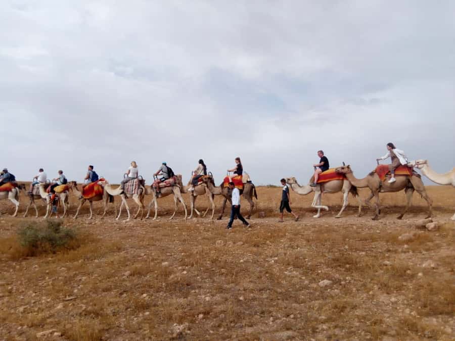 Marrakech: 2-Day Atlas Villages Trekking Tour - Who should book this Atlas trip