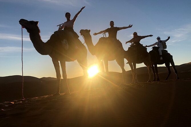 Marrakech: 2 Days tour to Sahara Zagora Desert & Ait-BenHaddou - Riding into the dunes at sunset