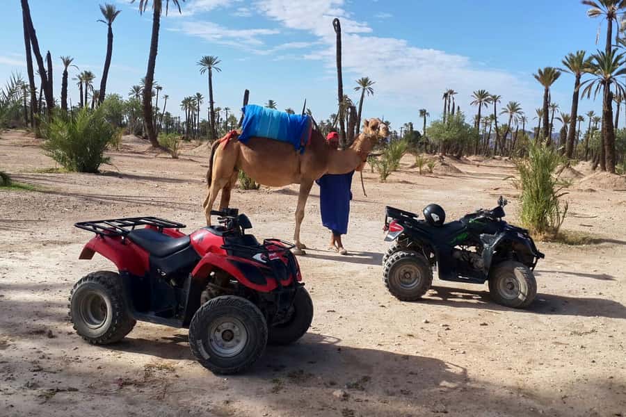 Marrakech: 2-Hour Quad Bike & Camel Ride in Palmeraie - From Marrakech to the Palmeraie in 30 minutes