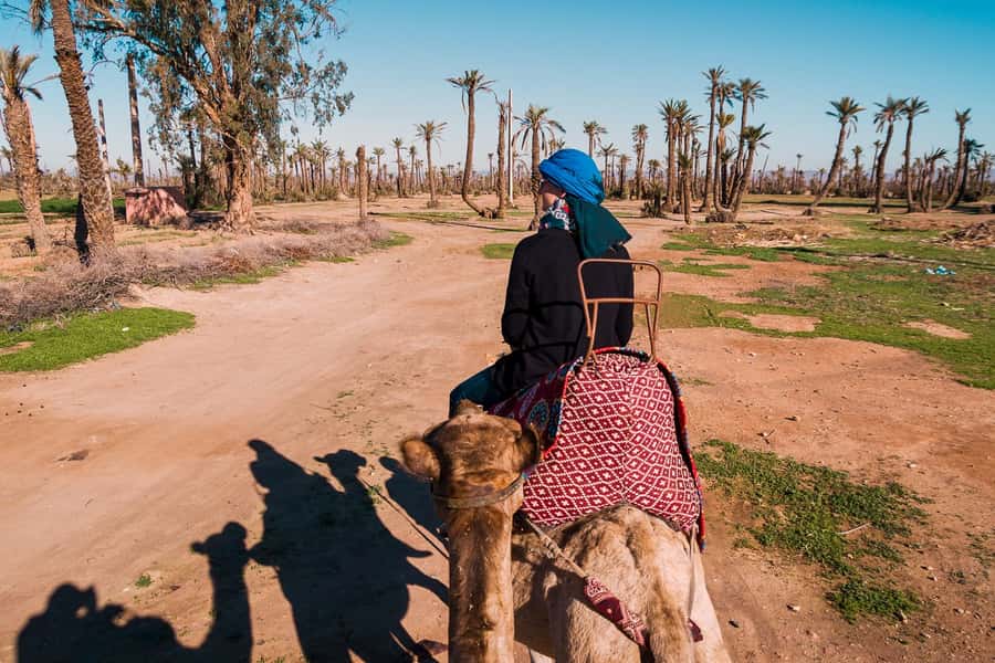 Marrakech: 2-Hour Quad Bike & Camel Ride in Palmeraie - Quad biking over sandy and rocky tracks