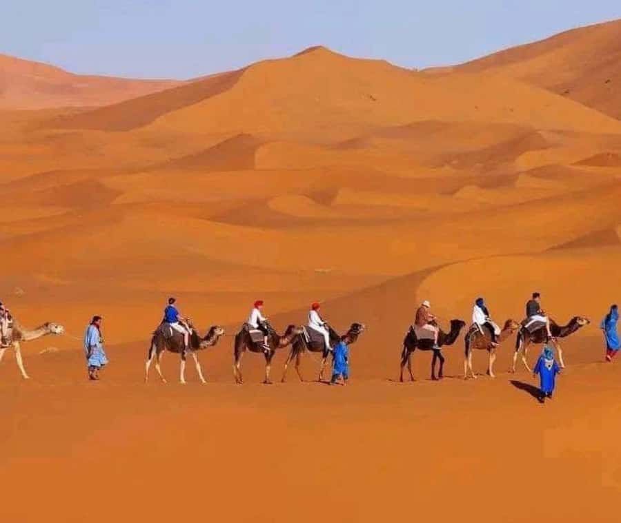 Marrakech: 3-day Exclusive Desert Luxury Tour; Quad & Camels - How the Transport and Pace Feel
