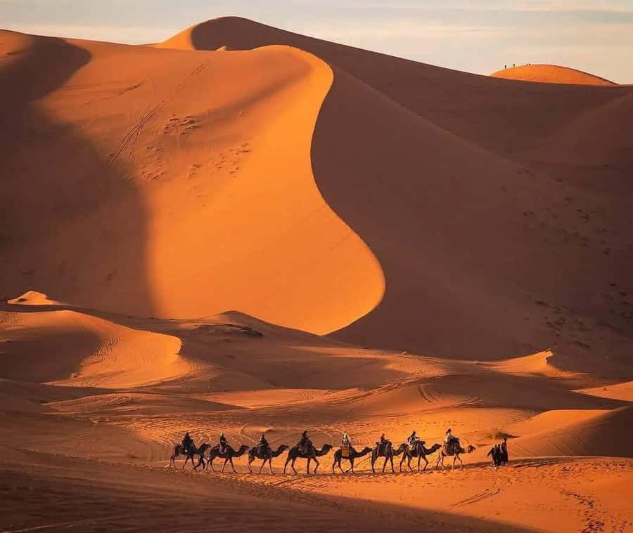 Marrakech: 3-day Exclusive Desert Luxury Tour; Quad & Camels - Should You Book It?