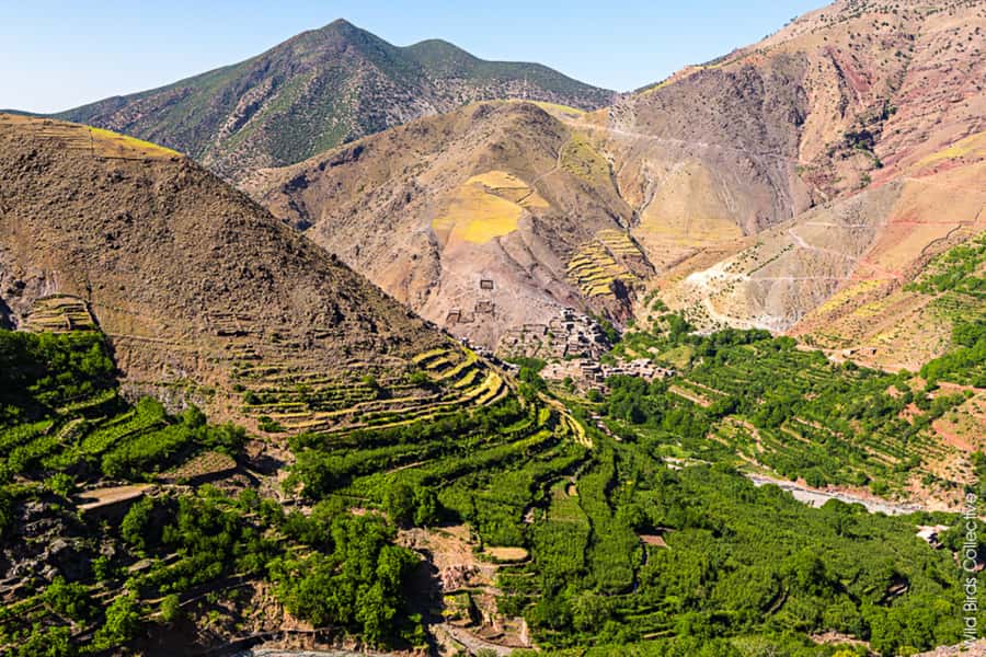Marrakech: 3-Day High Atlas Mountains and Three Valleys Trek - Who will enjoy this trip most?