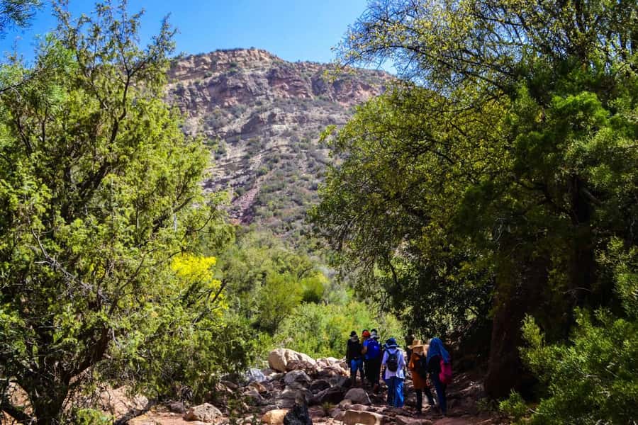 Marrakech: 3-Day High Atlas Mountains and Three Valleys Trek - The guides, cooks, and muleteers make the difference