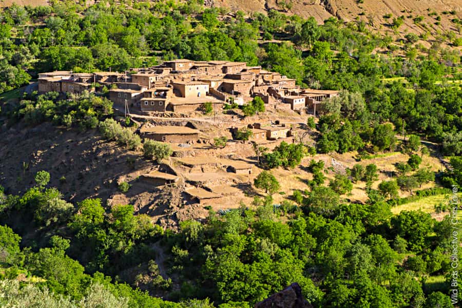 Marrakech: 3-Day High Atlas Mountains and Three Valleys Trek - Day one: Imlil to Tizi n’Tamaterte and Tachdirt