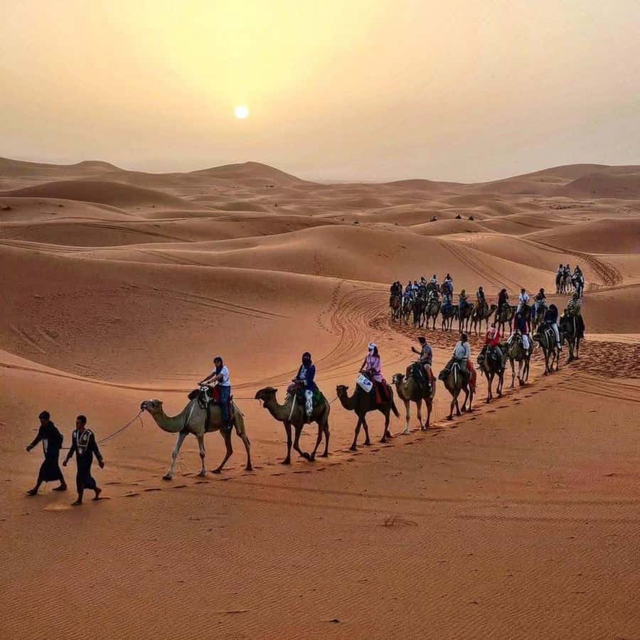 Marrakech: 3-Day Luxurious Desert Tour to Fes via Merzouga. - Key points before you book