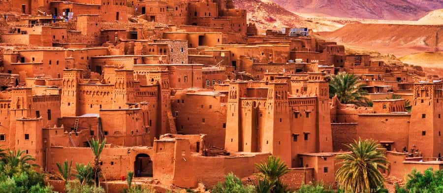 Marrakech: 3-Day Luxurious Desert Tour to Fes via Merzouga. - Day three: fossils, palm valleys, and Middle Atlas macaques