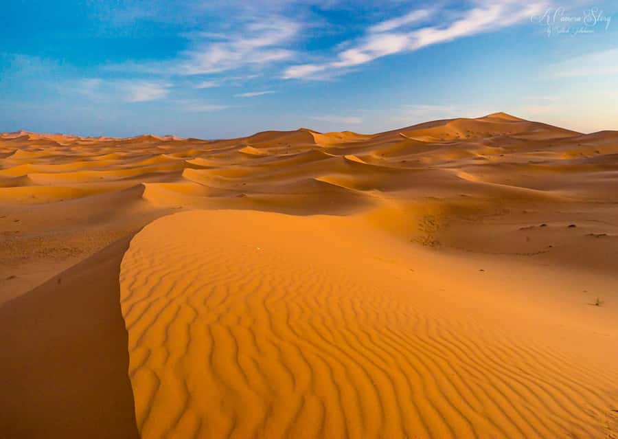 Marrakech: 3-Day Merzouga and Sahara Desert Tour - Day two: Todra River, Erfoud, and the road to Merzouga