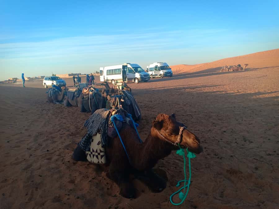 Marrakech: 3-Day Merzouga Sahara Desert Tour with Quad Ride - Who will enjoy this trip most