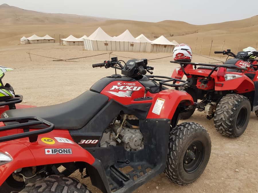 Marrakech: 3-Hour Quad Bike Adventure - Who should book this outing?