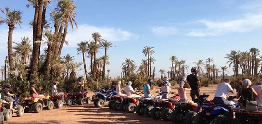 Marrakech: 3-Hour Quad Bike Adventure - Final verdict: book it for fun, not for a major desert expedition