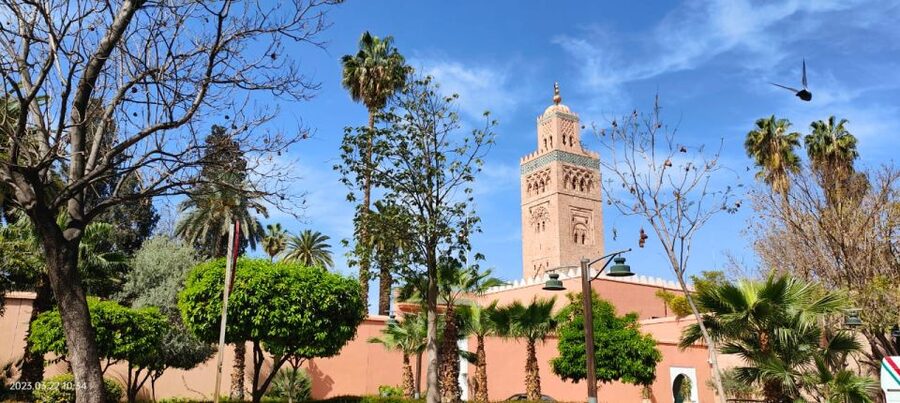 Marrakech 3-Hour Walking Tour - Starting beneath the Koutoubia minaret