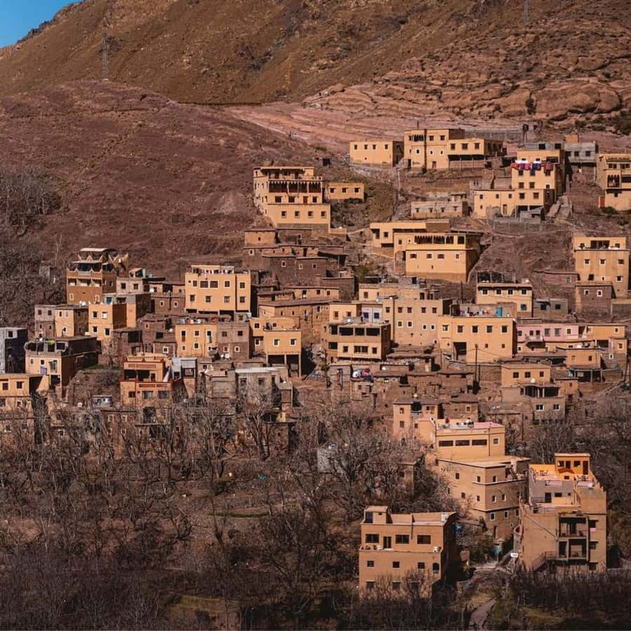 Marrakech 3 Valleys Private Tour, Waterfalls and Mountains - Sidi Fares Forest and the road to Asni