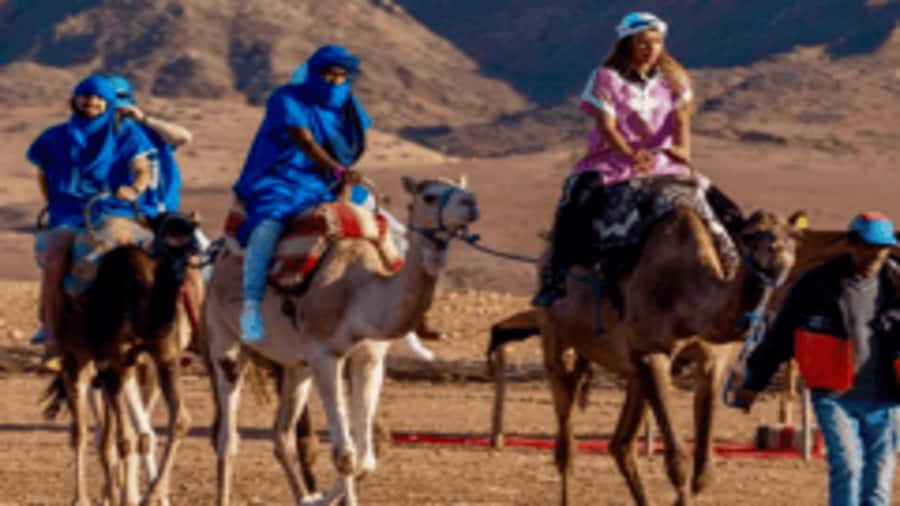 Marrakech Adventure: Paragliding, Camel Ride & Breakfast - Key Points at a Glance