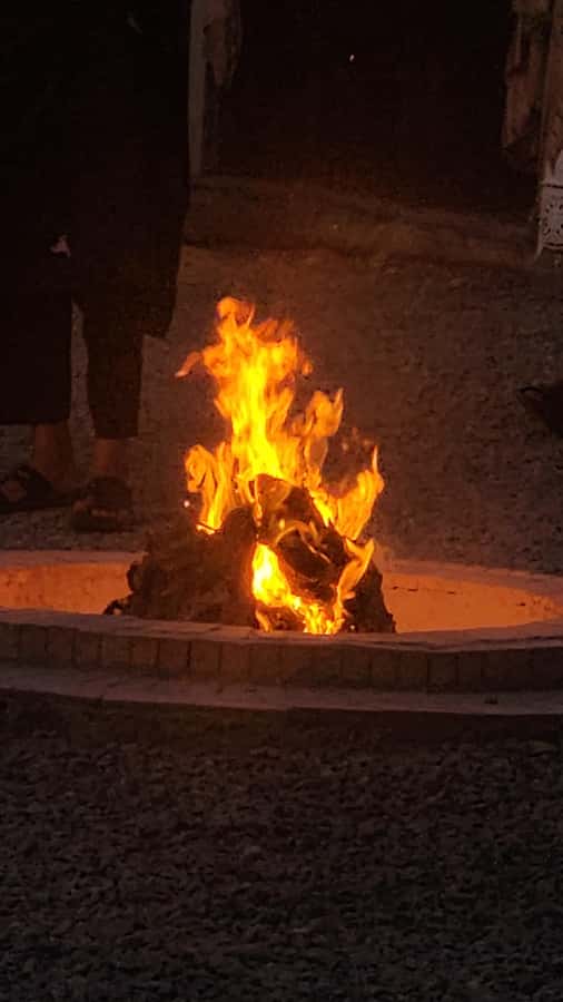 Marrakech: Agafay Camel Ride & Dinner with Fire Show Tour - Who should book this evening?